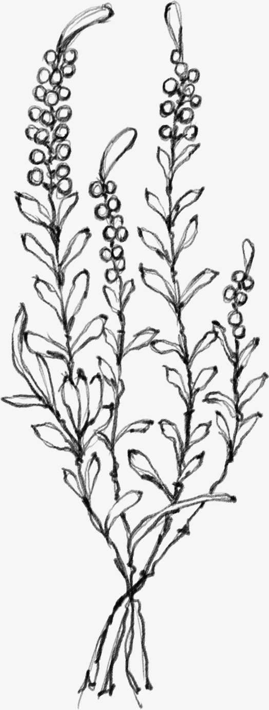 水墨花朵元素62免抠