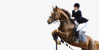马术表演草原骑马免抠