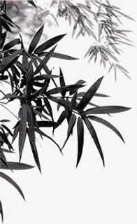 创意海报中国风竹叶黑色免抠 创意海报中国风竹叶黑色免抠