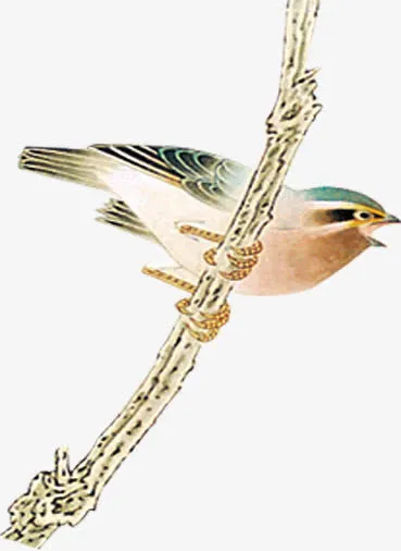 中秋节手绘老旧小鸟免抠