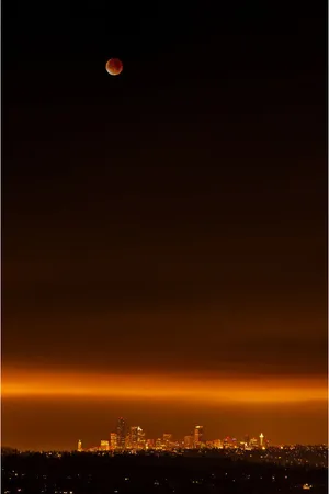 夜空下的红色月亮海报背景