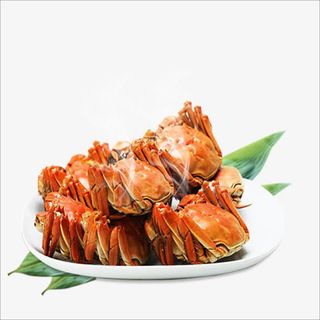 大闸蟹免抠