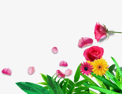 花瓣花朵绿叶免抠