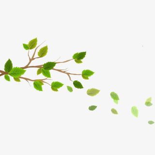 现代简约绿色树枝免抠