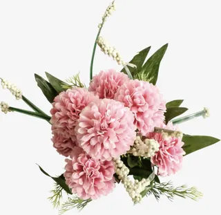 粉色康乃馨免抠