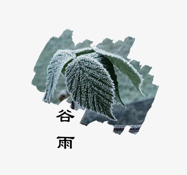 二十四节气谷雨之植物萌芽主题装免抠动植物植物元素