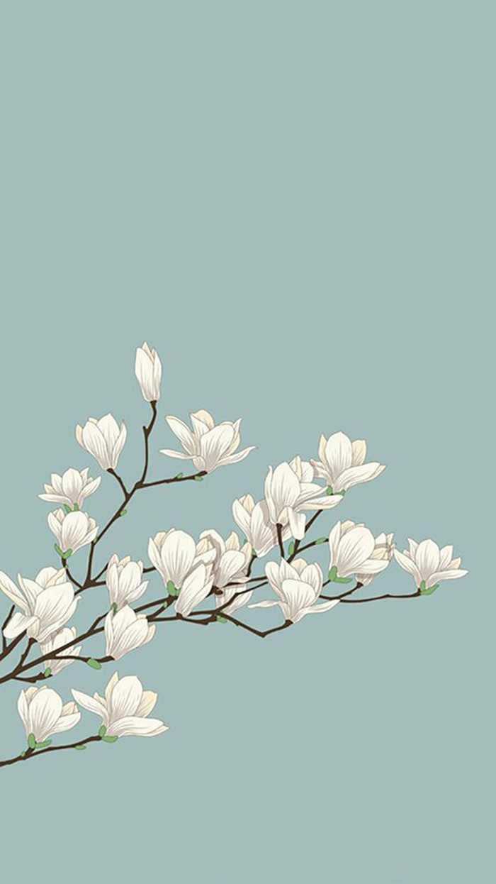 简约白色花背景高清