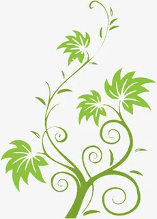绿色藤蔓免抠