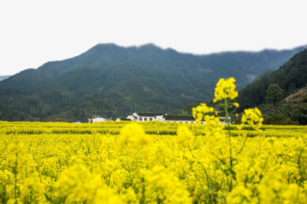 美丽山村免抠背景摄影风景元素