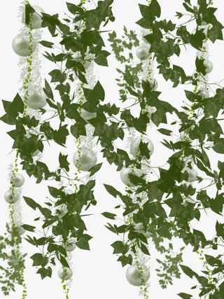 绿色珍珠叶子免抠