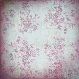 紫色植物花朵背景 紫色植物花朵背景