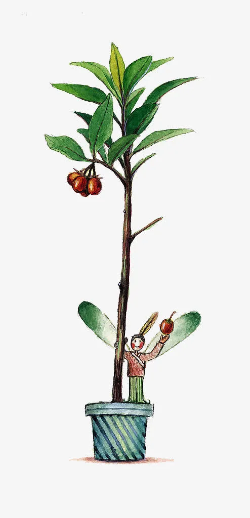 树下摘苹果的精灵免抠