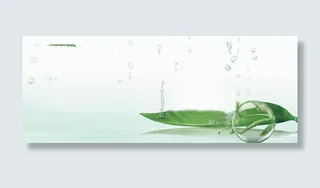 水滴绿叶素材免抠