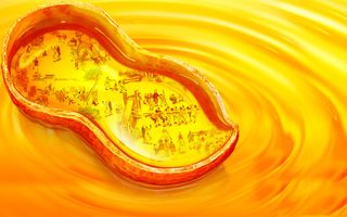 花生油海报高清