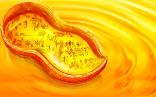 花生油海报高清