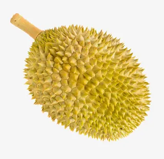 新鲜榴莲微距特写免抠