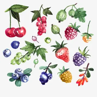 水果矢量图免抠下载免抠