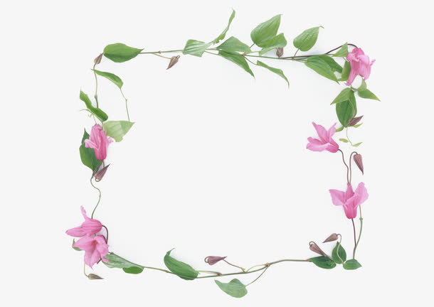 花环边框免抠