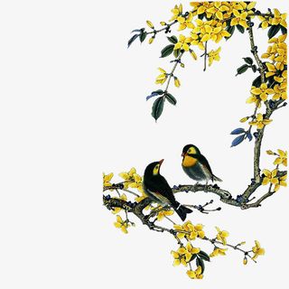 装饰图片配饰素描免抠