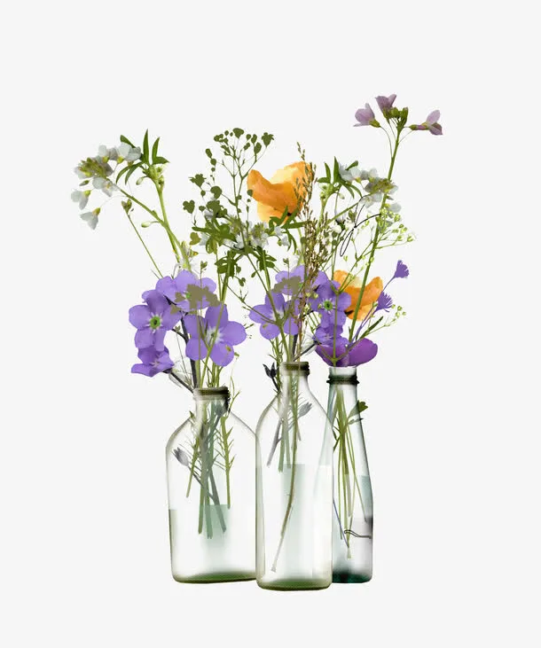 透明花瓶免抠