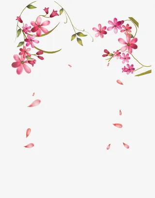 花瓣 花枝免抠