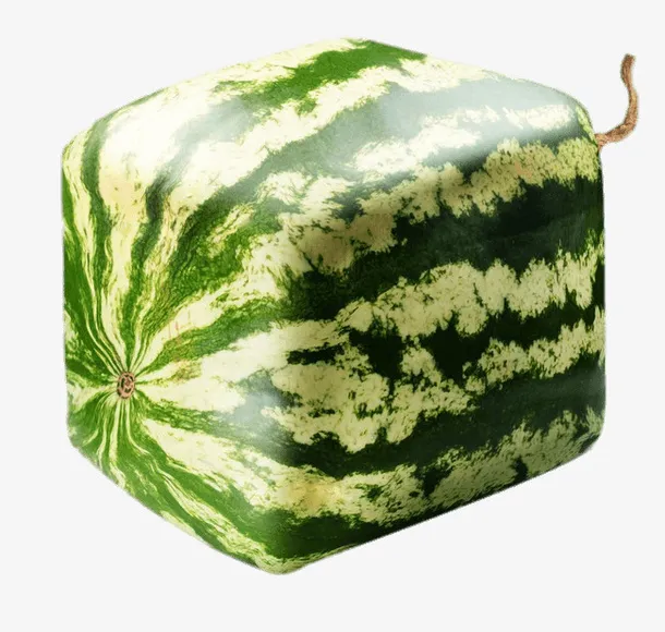 日本方形西瓜免抠