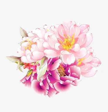 风牡丹素材免抠
