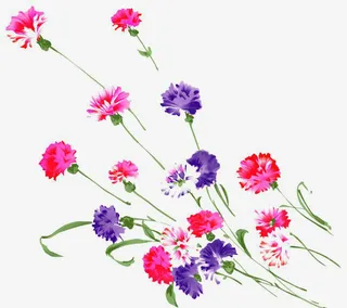 卡通手绘彩色花朵免抠