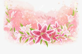 时尚花纹底纹免抠