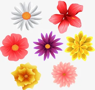 矢量手绘各式各样的花朵免抠