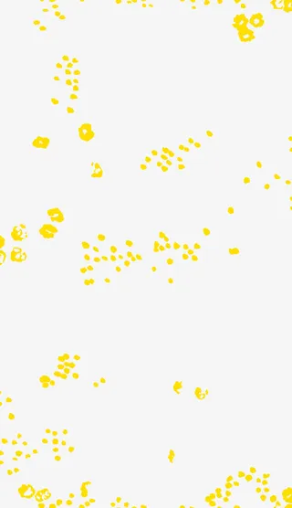 碎花田园风装饰免抠