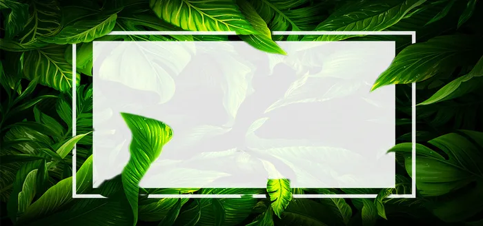 清新绿色边框背景图高清