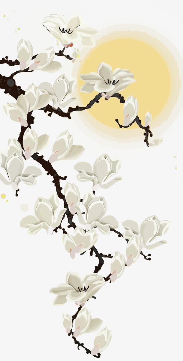 矢量玉兰花免抠