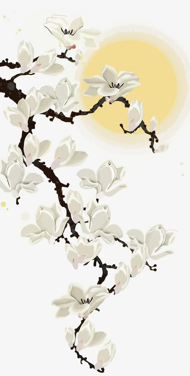 矢量玉兰花免抠