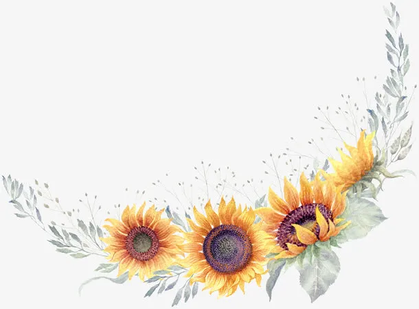 向日葵边框免抠