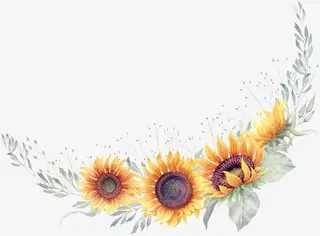 向日葵边框免抠