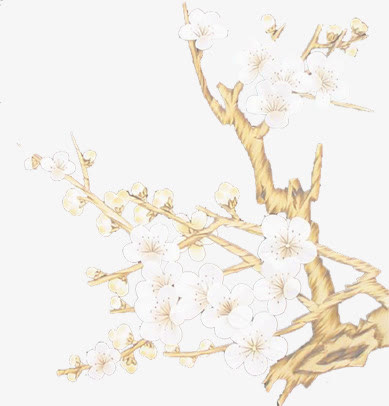 白色冬日梅花设计免抠