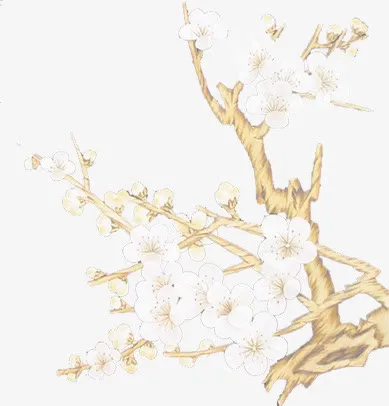 白色冬日梅花设计免抠