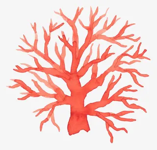 海洋植物树免抠