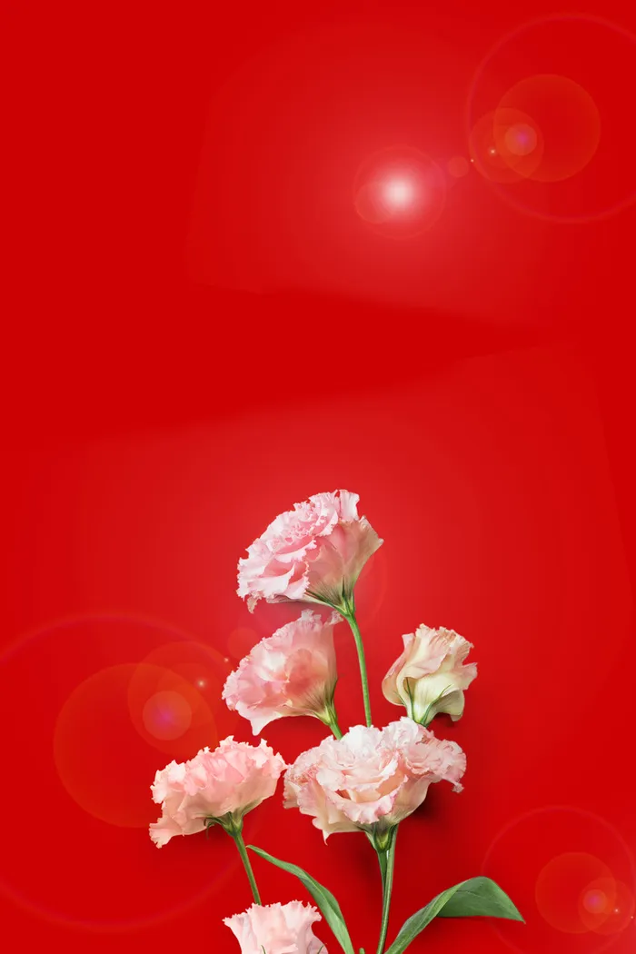 红色简约花朵母亲节海报高清