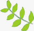 春天茶叶绿色植物手绘装饰免抠