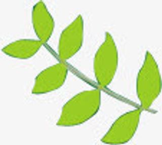 春天茶叶绿色植物手绘装饰免抠