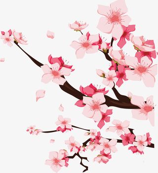 手绘卡通矢量梅花桃花免抠