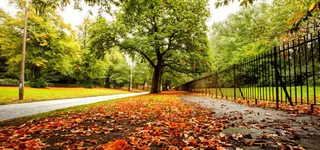 城市公园背景免抠