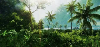 绿色植物森林背景装饰高清