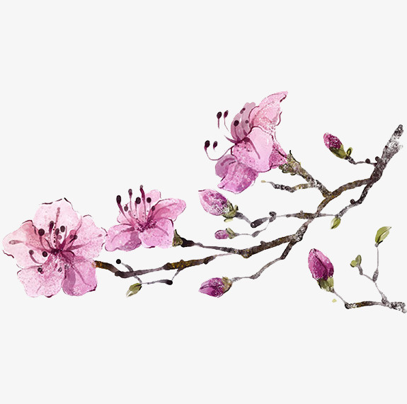 手绘桃花一株免抠