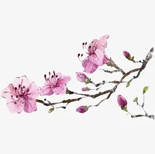 手绘桃花一株免抠