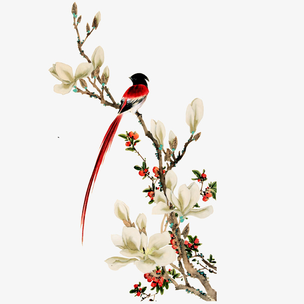 鸟在枝头免抠