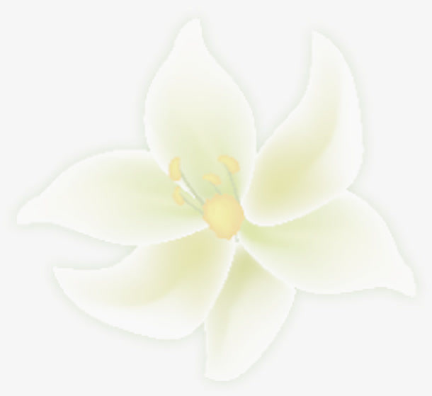 白色唯美春天花朵模糊免抠
