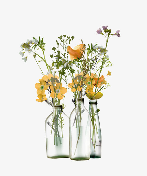 花卉花瓶免抠